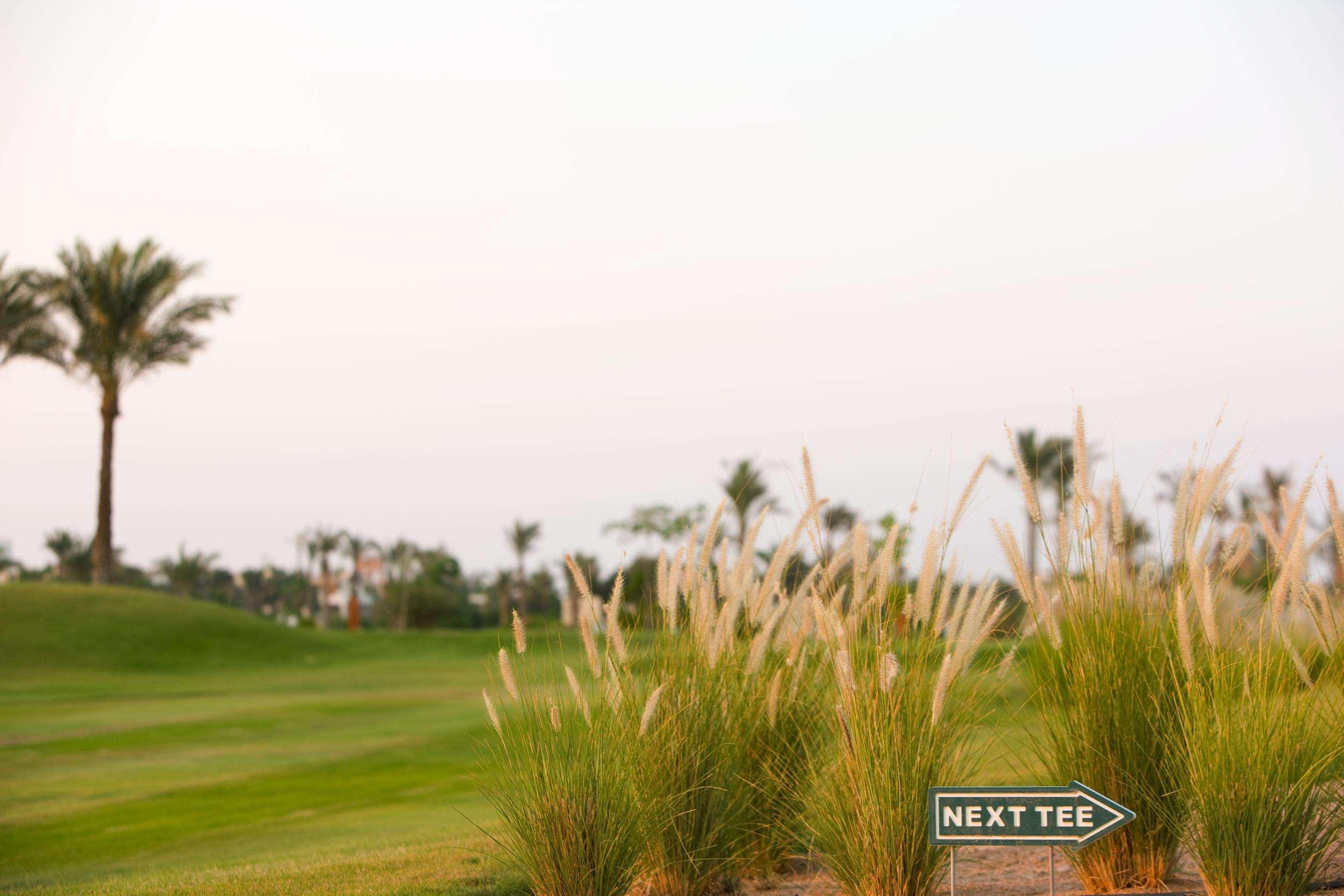 Steigenberger Aldau Beach Hotel Hurgada Dış mekan fotoğraf Golf course at Al Forsan